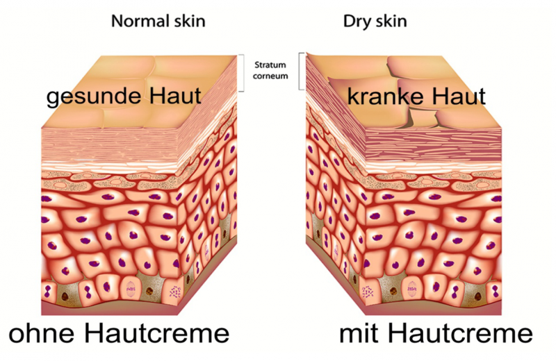 kosmetika-und-haut