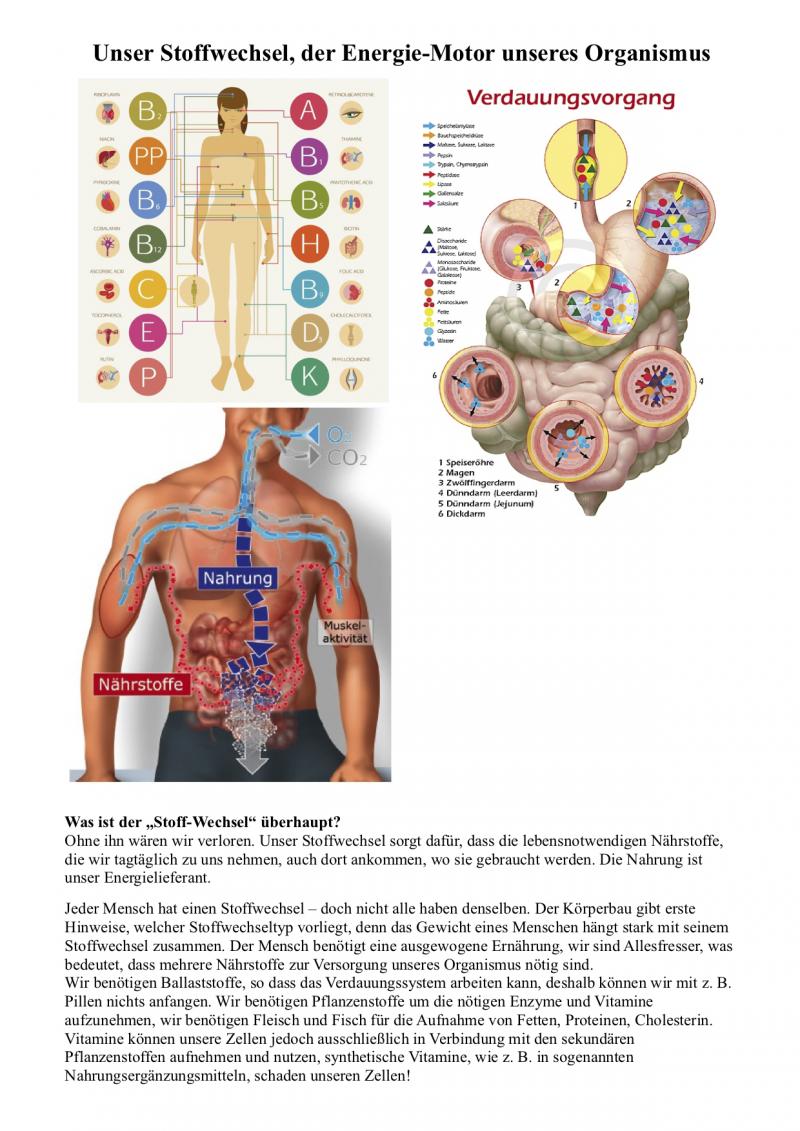 unser-stoffwechsel-erklaert-1