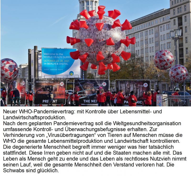 who-6